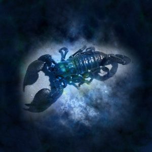 5 niezwykłych cech zodiakalnych Raków